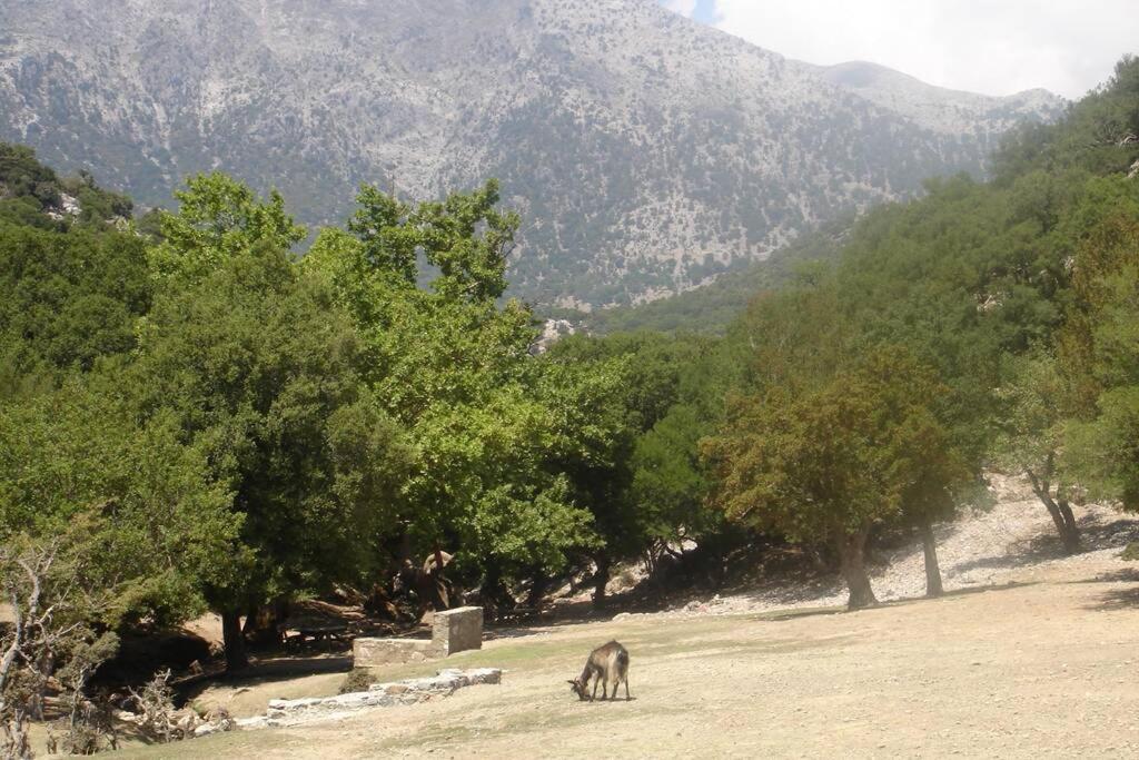 Villa Strata Kardhamiana Екстериор снимка